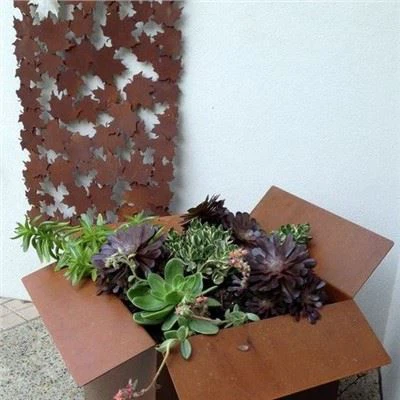 Pota Bláthanna Cruach Corten Allamuigh