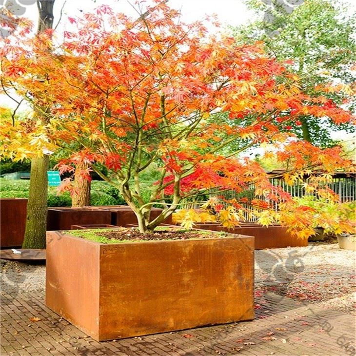 Small Square Planter Boxes