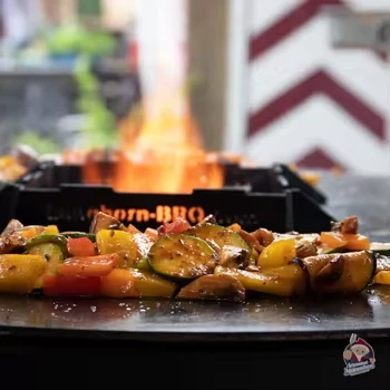 Bbq Stove For Outdoor Camping suppliers