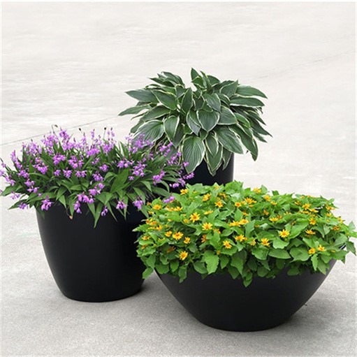 planter pot planter pot