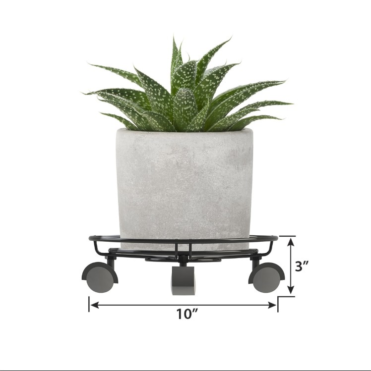 plant trolly plant trolly