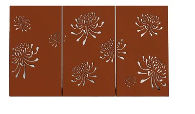 Scáileán Príobháideachta Sainiúil